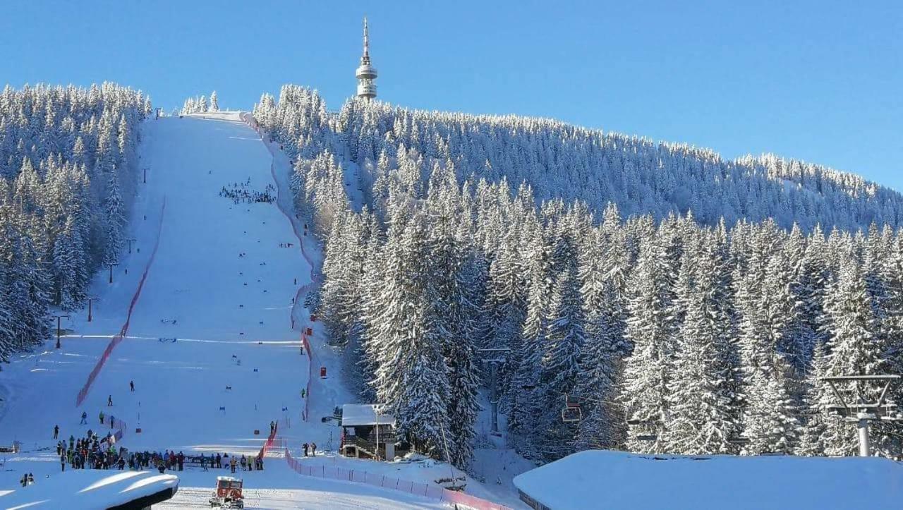 Hotel Igloo In The Woods - New, Warm And Inspiring Pamporovo Esterno foto