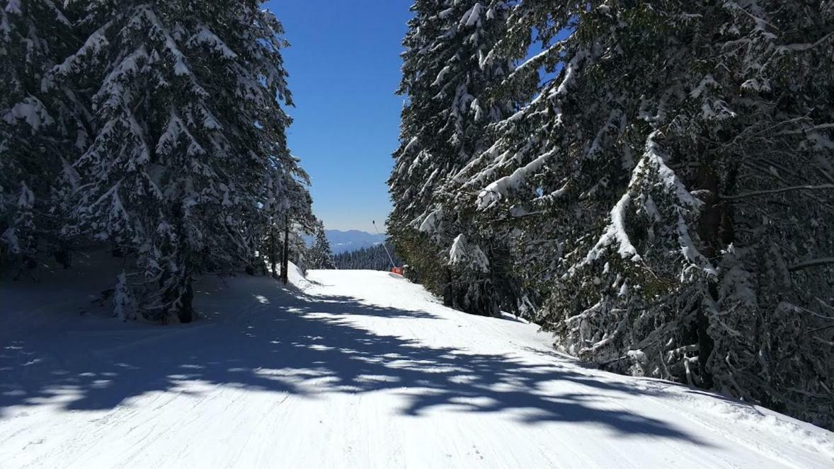 Hotel Igloo In The Woods - New, Warm And Inspiring Pamporovo Esterno foto