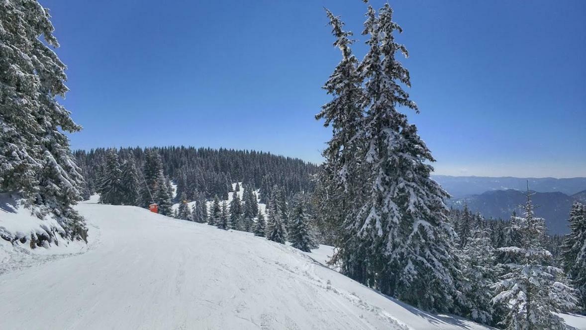 Hotel Igloo In The Woods - New, Warm And Inspiring Pamporovo Esterno foto